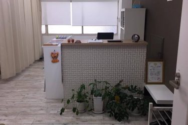 フェイス鍼灸整骨院