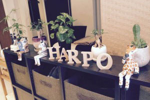 整体院 HARPO