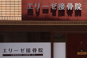 エリーゼ接骨院