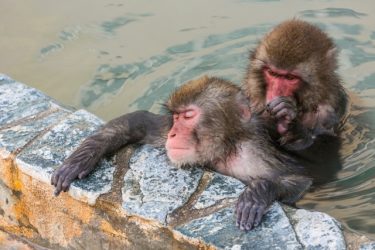 お風呂で肩こりを解消させるための3つのコツ【温度・時間・運動】