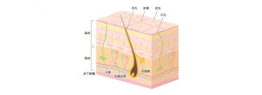 夏本番に備えて発汗トレーニングを！